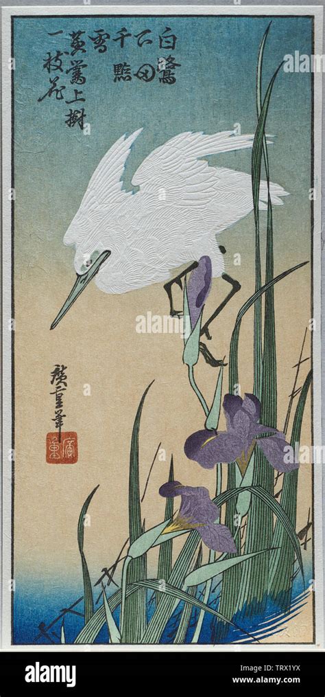 iris ukiyoe.